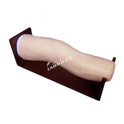 Modello avanzato di ginocchio in PVC per iniezioni intraarticolari e addestramento di aspirazione articolare