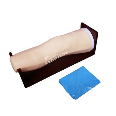 Modello avanzato di ginocchio in PVC per iniezioni intraarticolari e addestramento di aspirazione articolare