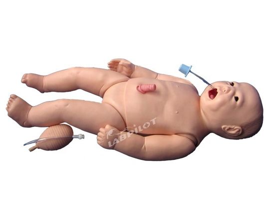 ACLS Neonatale Infermieristica Manikin Dimensioni della vita umana Materia per l'insegnamento delle scienze mediche