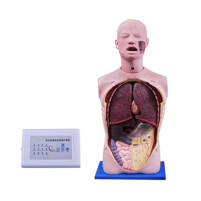 Manichino infermieristico multifunzionale di dimensioni umane per l'addestramento alla suczione e alla tracheotomia