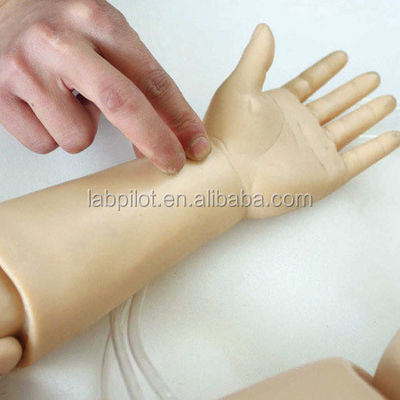 Pediatria Bambini di un anno Infermieristica e RCP Manichino per la formazione di salvataggio della vita