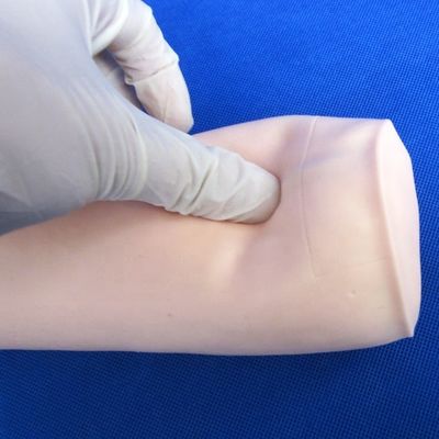 Scienze mediche Economica Venipunctura morbida e IV Iniezione Insegnamento Modello Simulatore di punzione del gomito