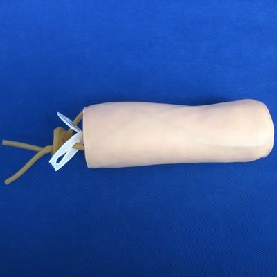 Scienze mediche Economica Venipunctura morbida e IV Iniezione Insegnamento Modello Simulatore di punzione del gomito