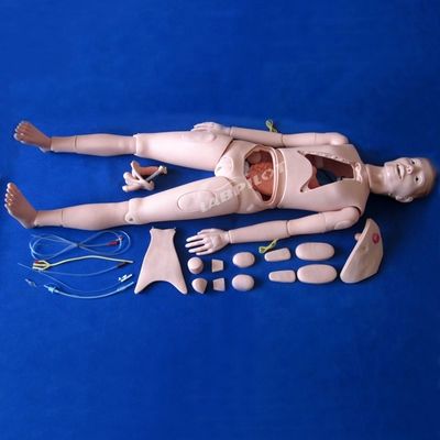 Dimostrazione di assistenza ai pazienti Scienze mediche avanzate Manichino infermieristico con organi interni