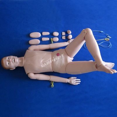 Dimostrazione di assistenza ai pazienti Scienze mediche avanzate Manichino infermieristico con organi interni