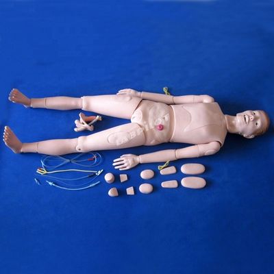 Dimostrazione di assistenza ai pazienti Scienze mediche avanzate Manichino infermieristico con organi interni