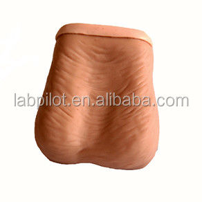 Simulatore di esame testicolare realistico con dimensioni di vita umana e PVC avanzato