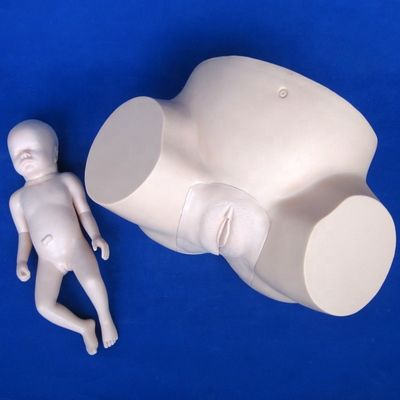 Simulatore di gravidanza e parto di manichino in PVC avanzato per l'addestramento all'estrazione del vuoto