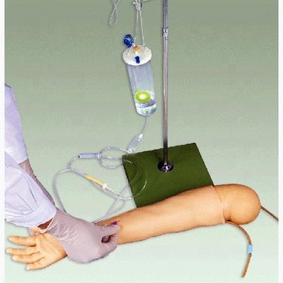 Modello di braccio di addestramento per infusione endovenosa avanzato in materiale PVC per bambini di 4 anni