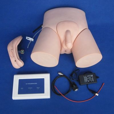 Modello di addestramento per il cateterizzazione elettronica dell'uretra maschile e femminile