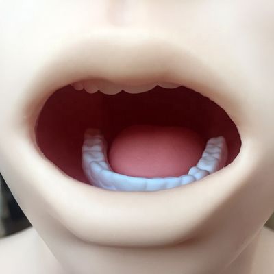 Modello di lavaggio gastrico trasparente Simulatore del tubo di alimentazione nasale per la formazione infermieristica