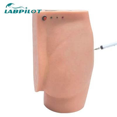 Dimostrazione di cura dei pazienti glutei Iniezione Simulatore didattico con luci di avvertimento
