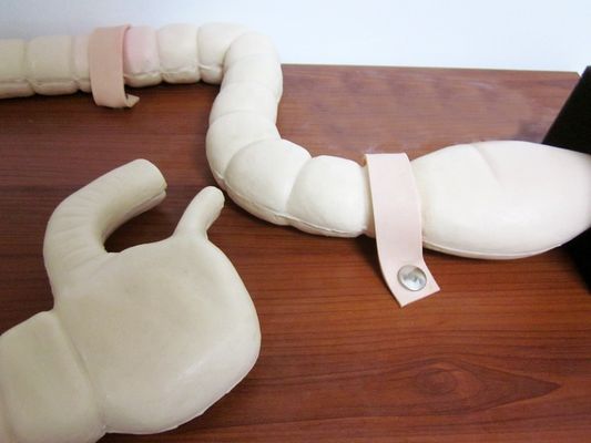 Manichino per l'esame del sigmoidoscopio addestramento avanzato di simulazione del modello intestinale