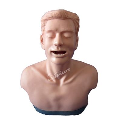 Modello di formazione per l'insegnamento anatomico e la dimostrazione delle funzioni dell'esame della tiroide