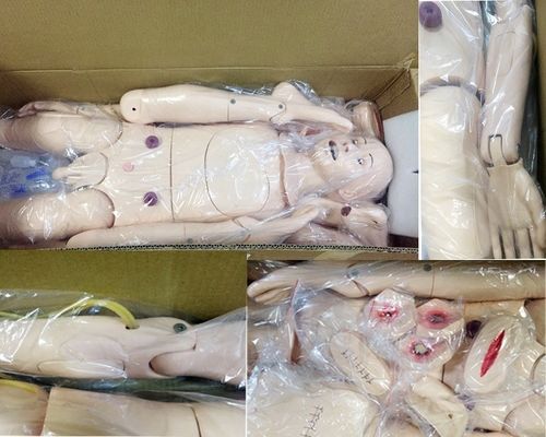 Dimensioni vitali per adulti manichino per infermieri con simulatore della pressione sanguigna manichino di formazione medica