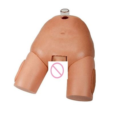 Simulatore di operazione di punzione urinaria femminile in PVC per capacità di cateterizzazione