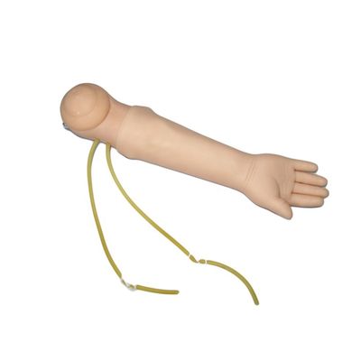 Manichino di dimensioni umane Bambino portatile Venipuncture Arm Model IV Arm Iniezione Insegnamento Mano Fantasma