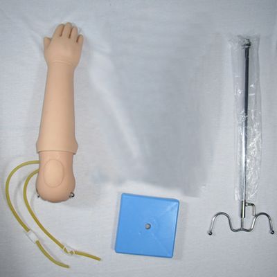 Manichino di dimensioni umane Bambino portatile Venipuncture Arm Model IV Arm Iniezione Insegnamento Mano Fantasma