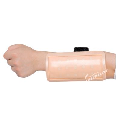Iniezione intradermica Pad didattico della pelle umana Modello IV Allenatore per la scienza medica