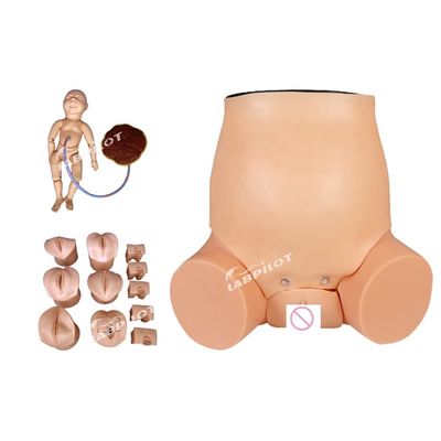 Simulatore di assistenza alla donna in gravidanza per la formazione in ostetricia-ginecologia