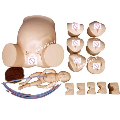 Simulatore di assistenza alla donna in gravidanza per la formazione in ostetricia-ginecologia