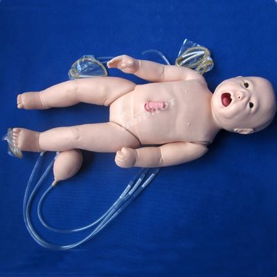 Bambino Vivido Bambino Vivido Bambino Vivido Bambino Vivido Bambino Vivido Bambino Vivido Bambino Vivido Bambino Vivido Bambino Vivido Bambino Vivido Bambino Vivido Bambino Vivido Bambino Vivido Bambino Vivido Bambino Vivido Bambino Vivido Bambino Vivido Bambino Vivido Bambino Vivido Bambino Vivido Bambino Vivido Bambino Vivido Bambino Vivido Bambino Vivido Bambino Vivido Bambino Vivido Bambino Vivido Bambino Vivido Bambino Vivido Bambino Vivido