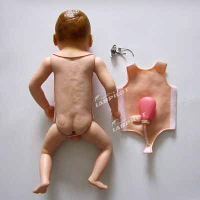 Tracheotomia infantile pediatrica Cura infermieristica Modello manichino per simulazioni realistiche