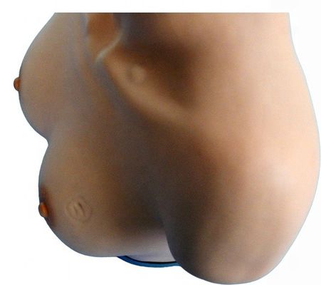 Abilità ginecologiche Insegnamento manichino per l'ispezione del seno e palpazione Simulatore