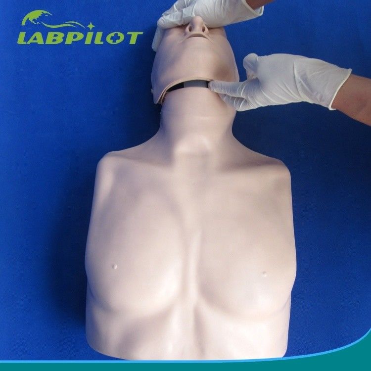Primo soccorso di tipo semplice Mezzo corpo CPR Manikin di addestramento per la scuola