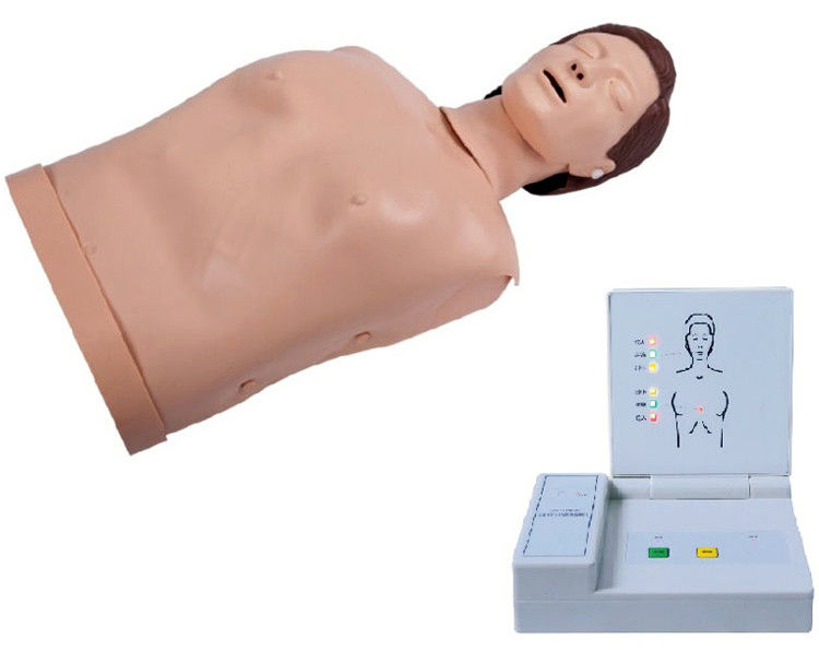 Insegnamento avanzato di RCP per adulti in PVC computerizzato Manichino per insegnamento di emergenza Manichino per la scienza medica