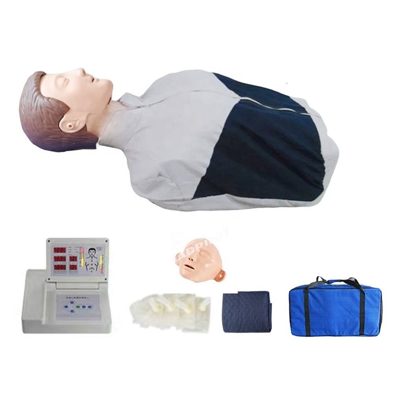 Scienze mediche Adulto Mezzo corpo RCP Torso manichino per emergenze Modello di pratica abilità