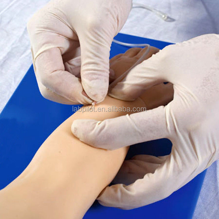 Avanguard Pediatric Venipuncture Arm for Patients Care Demonstration Dimensione della vita umana