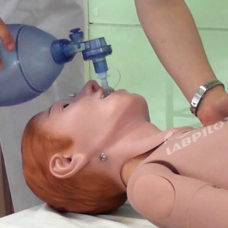 Formazione di primo soccorso intelligente Manichino per la vita umana