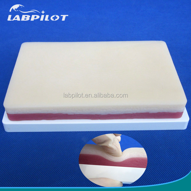 Manichino della vita umana Dimensione 3 strati Pad di pratica di sutura per la pelle grasso e muscoli Modello di allenamento