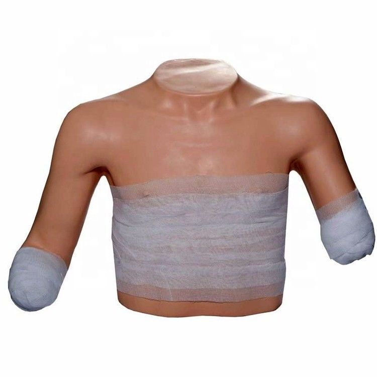 Scienze mediche Formazione per la cura dei pazienti Amputazione del tronco del membro superiore Modello di addestramento per manichino