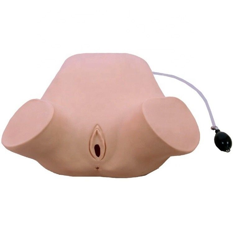Advanced PVC Multifunzionale Quattro Manovre Leopold Modello Esame Rettale e Vaginale Manichino di addestramento