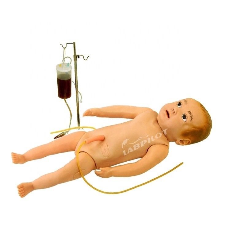 Simulazione della pelle realistica Modello di venezione del corpo intero per donne e bambini