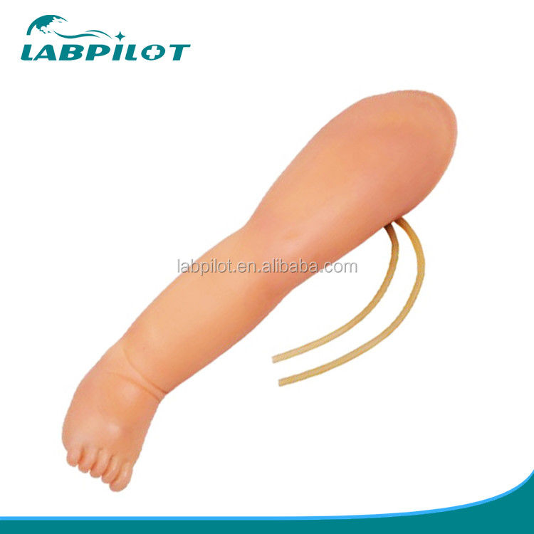 Simulatore di iniezione per la formazione alla venazione infantile Leg IV con vantaggio del PVC avanzato