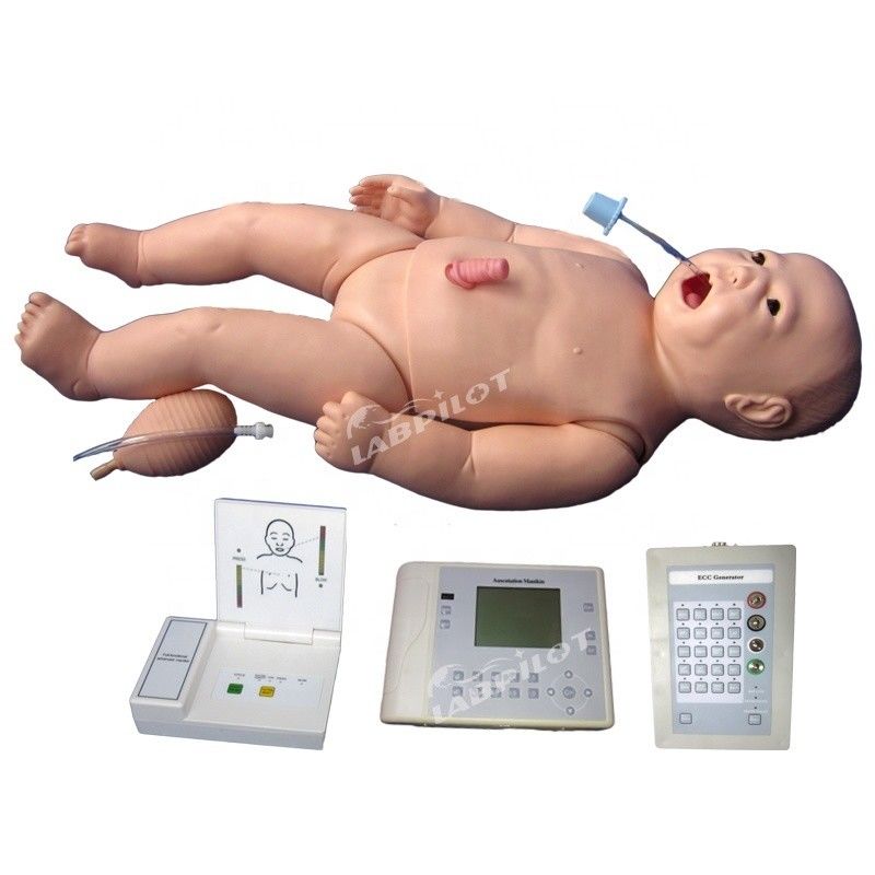 ACLS Neonatale Infermieristica Manikin Dimensioni della vita umana Materia per l'insegnamento delle scienze mediche