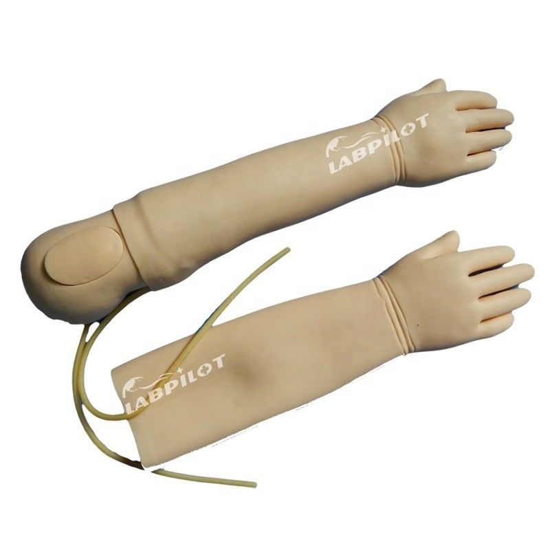 Modello di braccio di addestramento per infusione endovenosa avanzato in materiale PVC per bambini di 4 anni