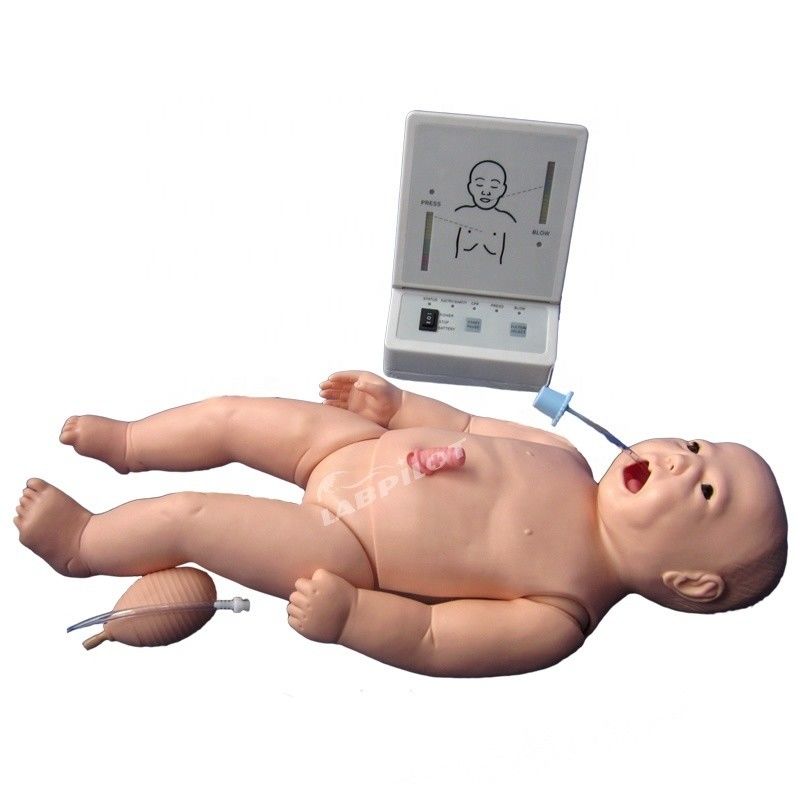 Bambino Vivido Bambino Vivido Bambino Vivido Bambino Vivido Bambino Vivido Bambino Vivido Bambino Vivido Bambino Vivido Bambino Vivido Bambino Vivido Bambino Vivido Bambino Vivido Bambino Vivido Bambino Vivido Bambino Vivido Bambino Vivido Bambino Vivido Bambino Vivido Bambino Vivido Bambino Vivido Bambino Vivido Bambino Vivido Bambino Vivido Bambino Vivido Bambino Vivido Bambino Vivido Bambino Vivido Bambino Vivido Bambino Vivido Bambino Vivido